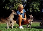 ワイルドハビタット動物園のカンガルー