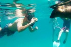 透き通った真っ青な海でのシュノーケリングは忘れない思い出になるでしょう。