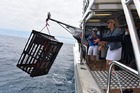 ロットネスト島からボートで出発し、クレイフィッシュを始めとする新鮮な魚介を捕獲します。