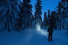 静かな夜の森をスノーシューで散策