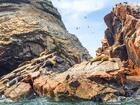 アシカの群れが生息している「貧乏人のガラパゴス」バジェスタ島