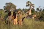 野生動物の楽園 オカバンコデルタ