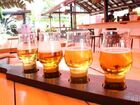 トップブランドのビール工場でテイスティング