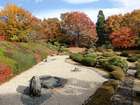 四季が楽しめる日本庭園、万酔園