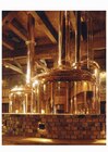 醸造所で小樽ビールができるまでの工程を見学。