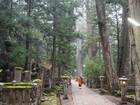 高野山の名所や絶景を地元ガイドや僧侶と巡るツアー、茶道・瞑想体験なども併せてアレンジ可能。
