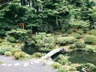 高野山「無量光院（むりょうこういん）」庭園