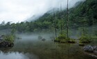 霧が出ても神秘的な上高地の景色