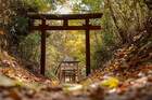 秋になると、紅葉の情緒ある景色もお楽しみ頂けます。