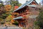 町石道を歩く途中、秋には紅葉も楽しめます。