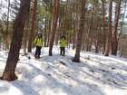 ふかふかの雪が積もった林を歩く