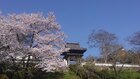 那智山 正暦寺の外観の様子