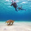 奄美の海でウミガメシュノーケリング体験！