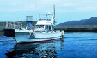 奄美大島の綺麗な海で釣りをお楽しみください。