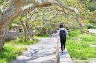 加計呂麻島を愛するガイドが、その日の見所を3時間でご案内！