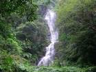 森の中に30以上ある個性豊かな癒しの滝の数々