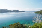 東洋のガラパゴス、奄美大島の大自然と文化に触れる旅