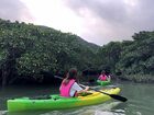 マングローブ原生林の中をカヌーでツーリング！奄美大島の大自然をお楽しみください。