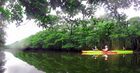 きれいなマイラ川のマングローブを横目に、のんびりカヌー体験。