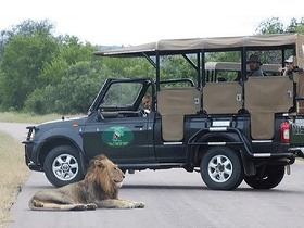 ビッグファイブがたくさん生息するクルーガ国立公園でサファリ