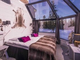 イグルーの暖かいお部屋からオーロラ鑑賞！