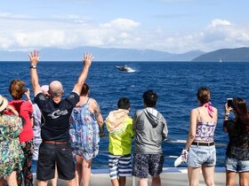 船の上から、クジラに会いに行く旅。