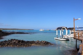 ガラパゴスの美しい海と豊かな植物・固有種の鑑賞をお楽しみください