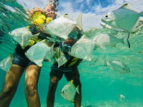 透明な海をカヤックで進めば、かわいい魚たちに出会えるかも