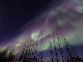 日により異なる幻想的なオーロラ鑑賞をお楽しみください。