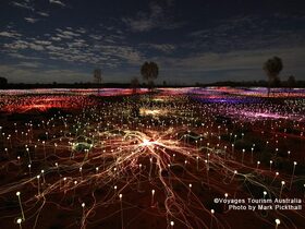 Bruce Munro氏によるフィールド・オブ・ライト