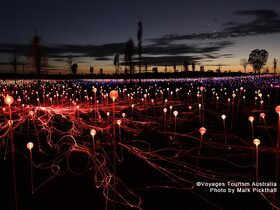 ウルルで楽しむ幻想的な光のアート