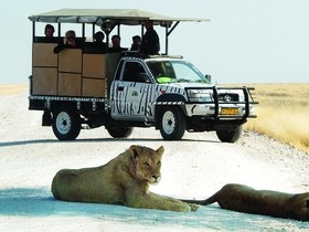 エトーシャ国立公園でビッグファイブサファリ