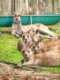 ボノロング野生生物保護区