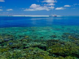 海の中は元気な珊瑚や魚がたくさん