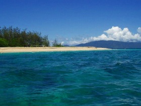 船からフランクランド島が見えるとワクワクしますね