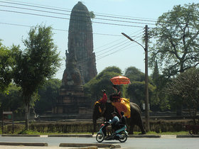 アユタヤ王朝の遺跡と象、タイらしい１ショット