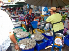 メークロン線路市場では主に海産物は売られています