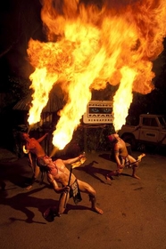 ナイトサファリで見られる炎のショー