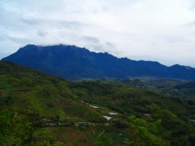 緑豊かなマレーシアの田園風景