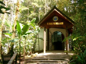 キナバル公園内の山岳植物園