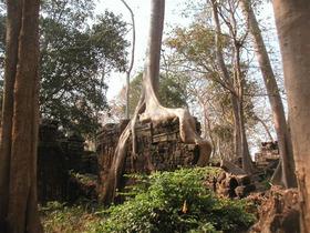 東のアンコールと呼ばれる遺跡はまるでラピュタの世界