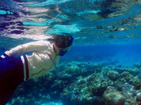 こんな大きなサンゴも間近で見られるパラオの海