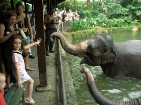 シンガポールズーへもお連れします(入園料別途)