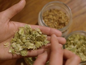 ビールに詳しくなってから帰りましょう