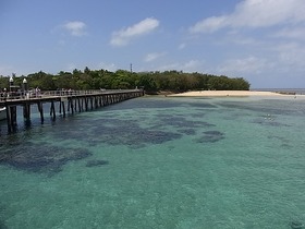 桟橋近くがスノーケルポイントです