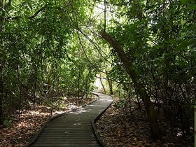 木陰での島内散歩が気持ちいい