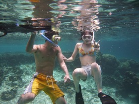 シュノーケルでもたくさん魚に会えるロックアイランド周辺