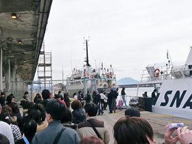 ナポリ港から高速船でカプリ島へ