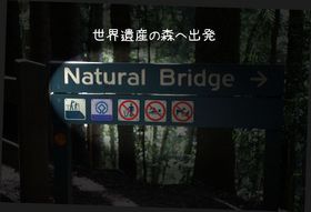ナチュラルブリッジ入り口