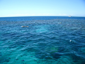 これぞグレートバリアリーフ！世界遺産の綺麗な海